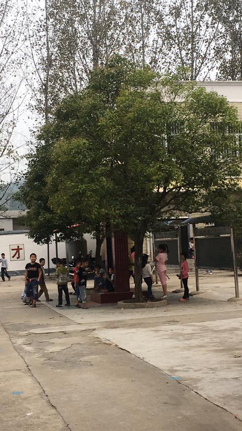 平顶山市新华区新程街小学深入开展基础教育百千万帮带春风行动工作